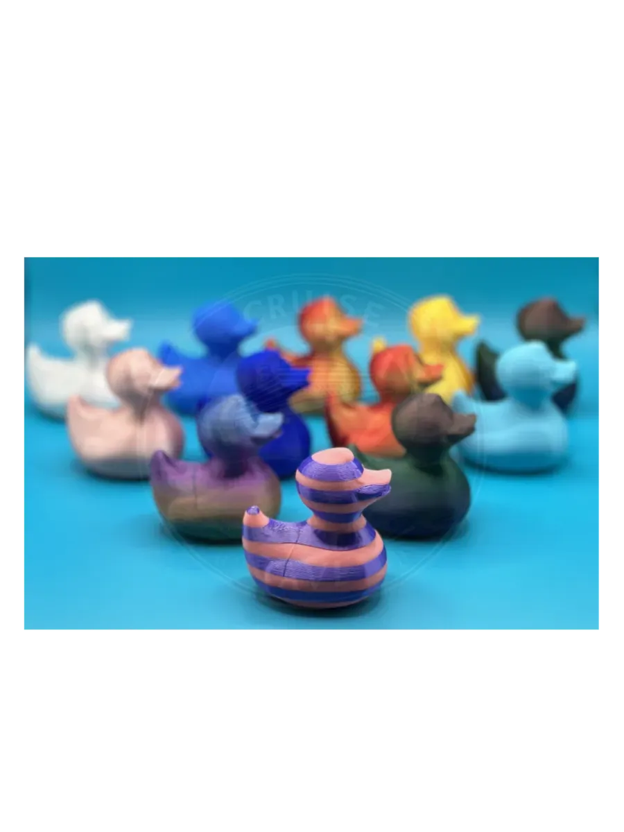 Dozen Medium Multicolor Ducks