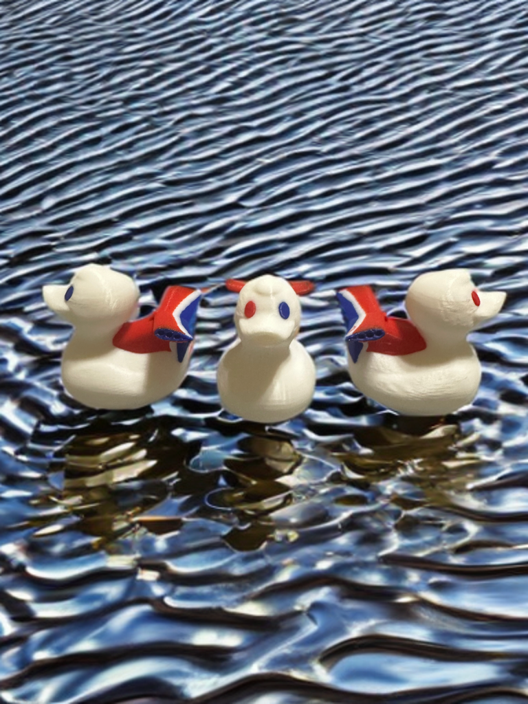 6 Medium Cruise Carnival Ducks