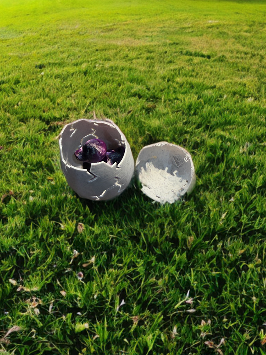 6 Dinosaur Duck Eggs