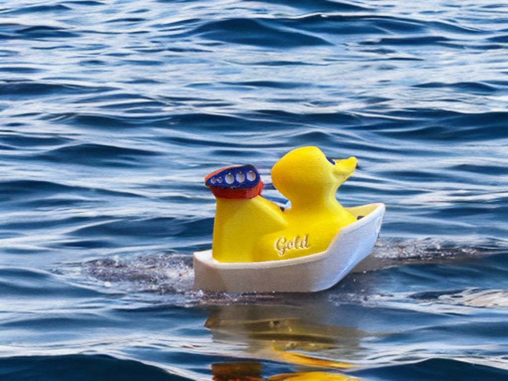 Carnival Status Ducks