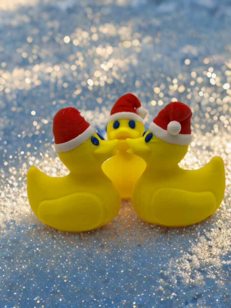 Set of 10 Santa Ducks