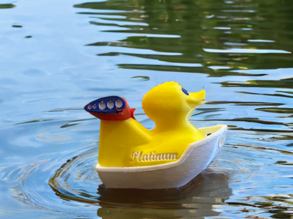 Carnival Status Ducks