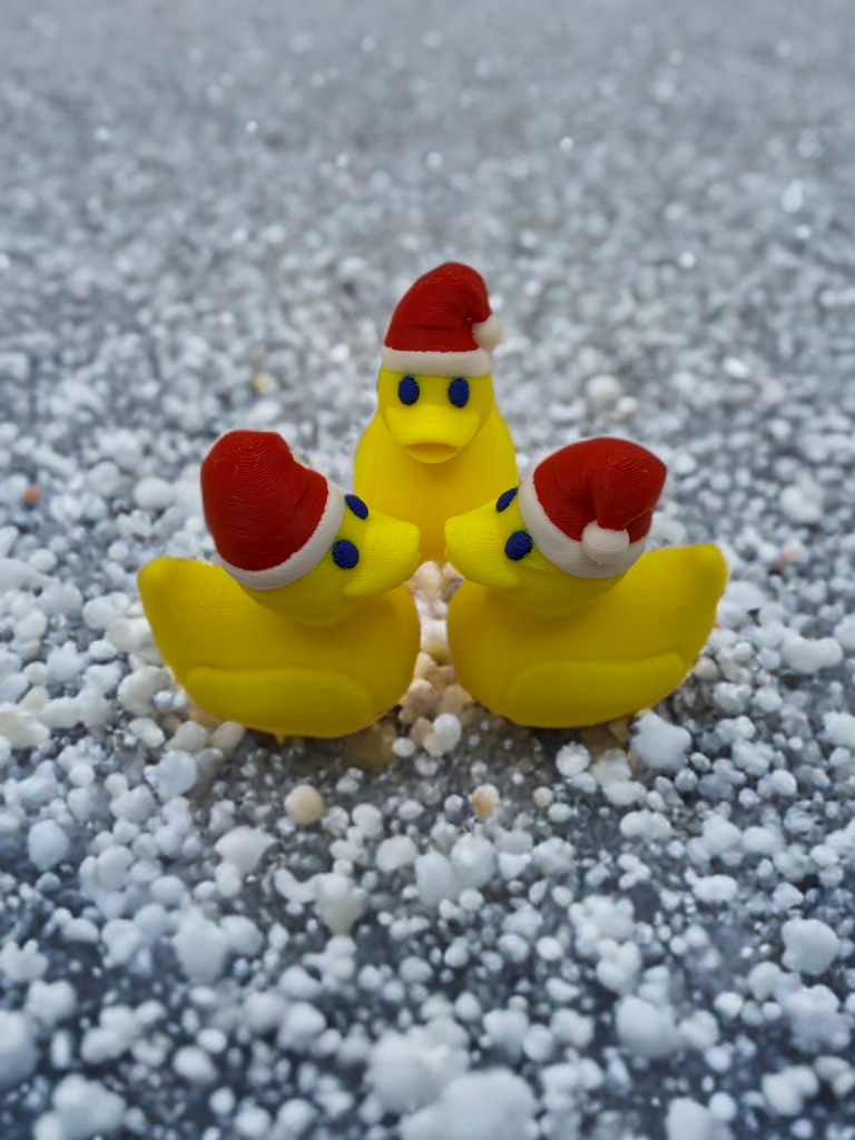 Set of 10 Santa Ducks