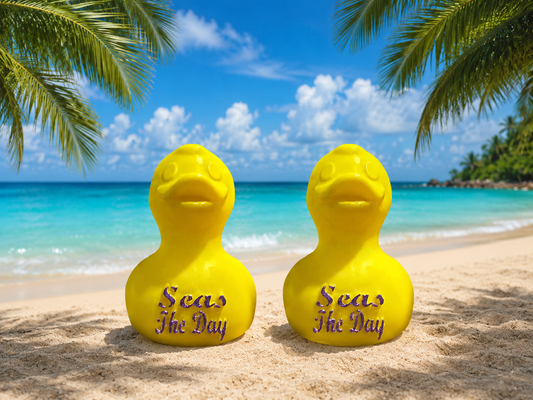 SEAS THE DAY DUCK MAGNETS- Set of 2