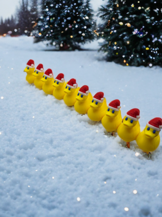 Set of 10 Santa Ducks