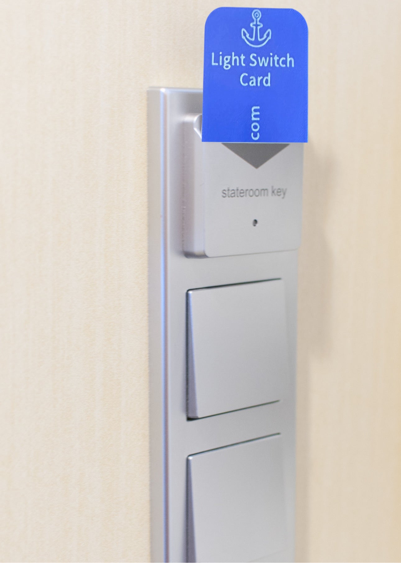 Cruise Light Switch Card